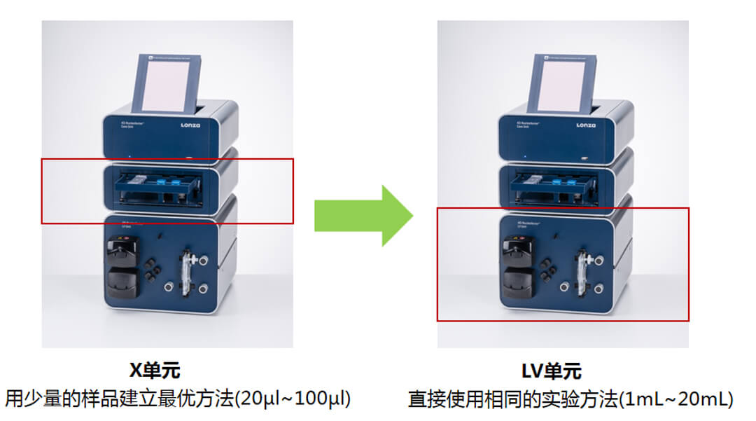 4d-nucleofector x單元轉(zhuǎn)染程序直接用于LV單元