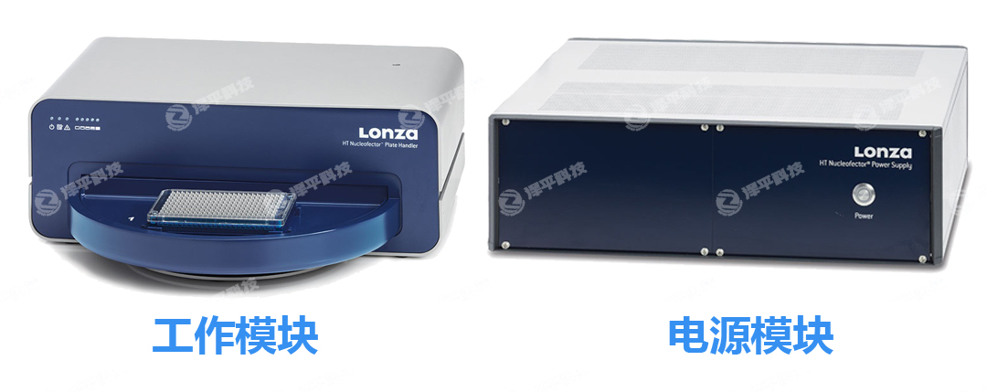 Lonza Nucleofector 384孔高通量細胞核轉(zhuǎn)染系統(tǒng)電源模塊工作模塊 北京澤平