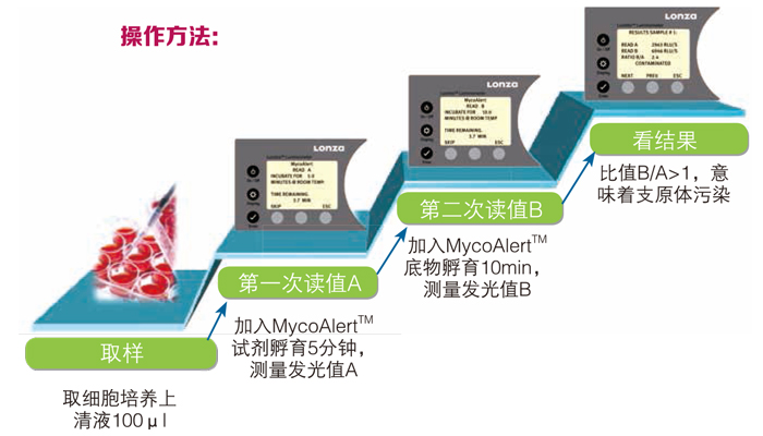 Lonza MycoAlert支原體檢測(cè)試劑盒