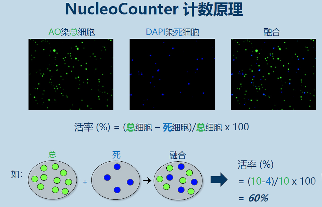 Chemometec NucleoCounter細(xì)胞計數(shù)儀