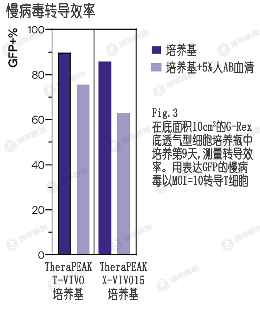 病毒轉(zhuǎn)導(dǎo),T-VIVO培養(yǎng)基提供更高的T細胞轉(zhuǎn)染效率 北京澤平