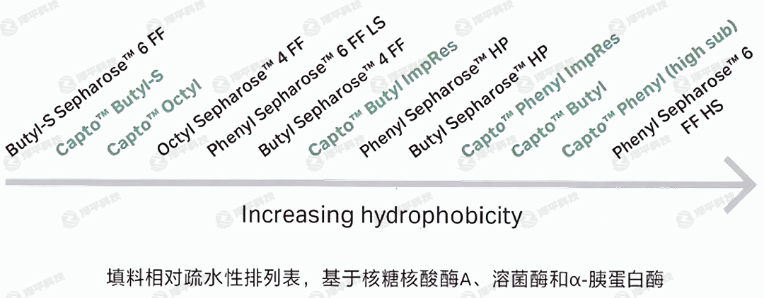 cytiva疏水層析填料相對(duì)疏水性排列表 代理商北京澤平