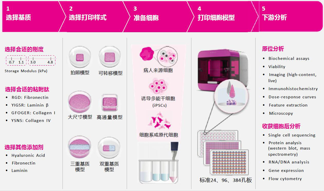 Inventia Rastrum細胞3D打印機工作流程 代理商北京澤平